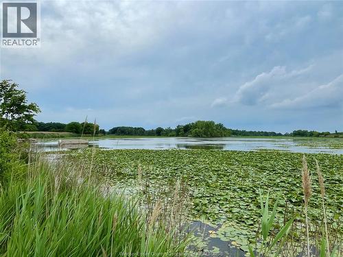 3371 County Road 20, Amherstburg, ON 
