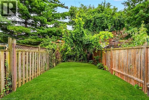 Expansive backyard featuring a manicured lawn, established wooden fencing, and mature perimeter foliage - 199 N Locke Street N, Hamilton, ON 