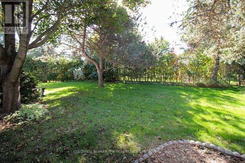 Rear Yard - 11 Ramsden Crescent, East Gwillimbury, ON 