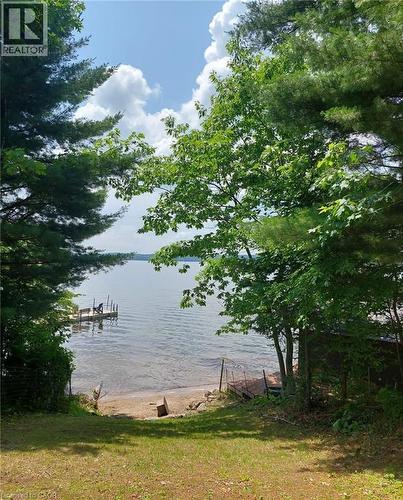 Waterfront property featuring a wooden dock, sandy beach, and mature trees - 16431 Highway 35, Algonquin Highlands, ON 