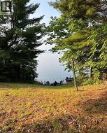 Sloping grassy terrain with mature trees, leading to a body of water with a dock structure - 