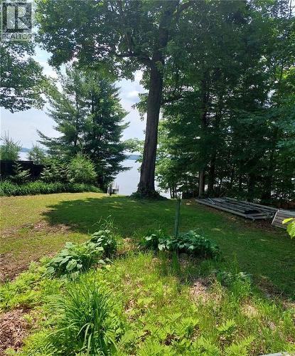 Sloping green lawn with a mature tree canopy, varied plantings, and a body of water in the background - 16431 Highway 35, Algonquin Highlands, ON 