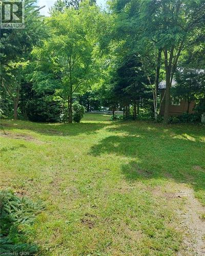 Expansive grassy area with mature trees and a distant cabin structure - 16431 Highway 35, Algonquin Highlands, ON 