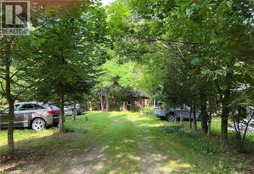 Expansive grassy area surrounded by mature trees, leading to a structure - 16431 Highway 35, Algonquin Highlands, ON 