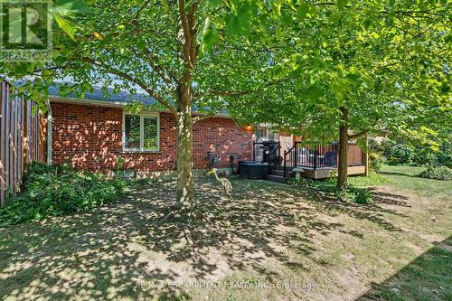 4 - 173 Wilson Street W, Hamilton, ON 