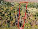 1233 Southwood Road Building Lot - 1223 Southwood Road, Gravenhurst, ON 