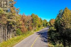 Paved Road - 