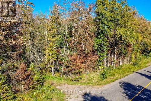 1223 Southwood Road, Gravenhurst, ON 