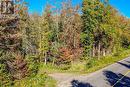 1223 Southwood Road, Gravenhurst, ON 