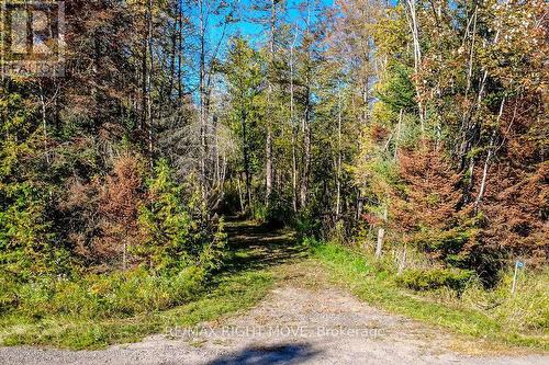 1223 Southwood Road, Gravenhurst, ON 