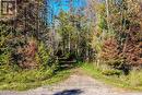 1223 Southwood Road, Gravenhurst, ON 