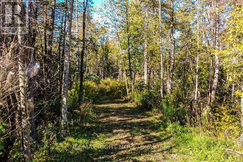 1223 Southwood Road, Gravenhurst, ON 