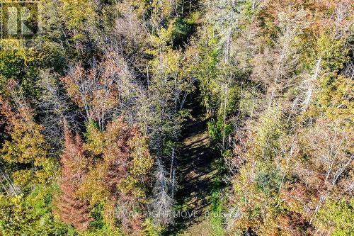1223 Southwood Road, Gravenhurst, ON 