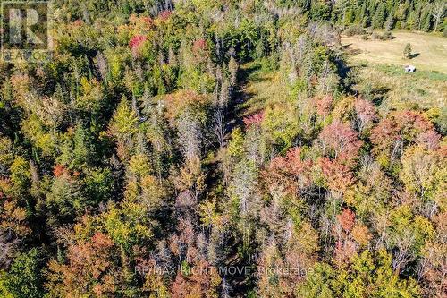 1223 Southwood Road, Gravenhurst, ON 