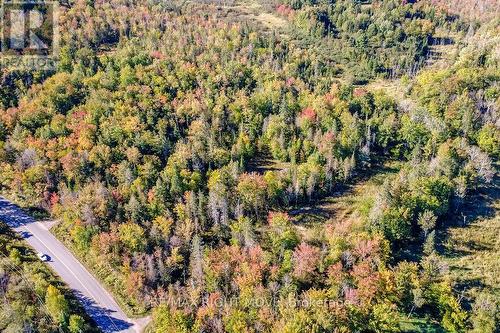 Partly Cleared Ready for YOUR home! - 1223 Southwood Road, Gravenhurst, ON 