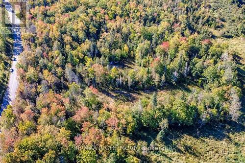 1223 Southwood Road, Gravenhurst, ON 