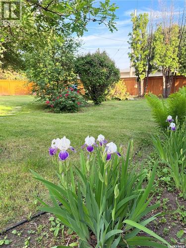 1144 2Nd Street E, Saskatoon, SK 