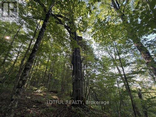 101 Maberly Station Road, Tay Valley, ON 