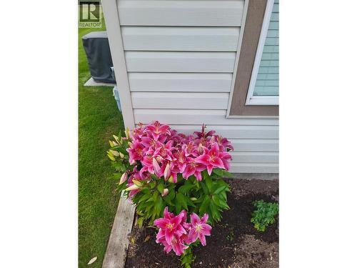 8 490 Lewis Drive, Quesnel, BC 