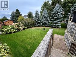Expansive backyard with a manicured lawn, established landscaping, mature trees, and a wooden storage shed - 