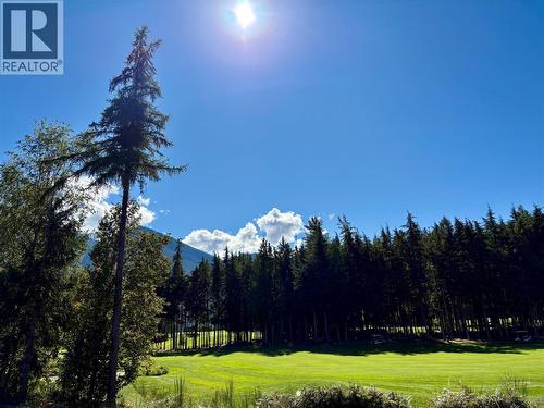 205 Edward Street Lot# 42, Balfour, BC 