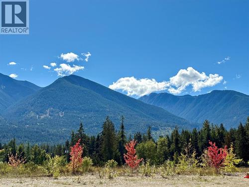 205 Edward Street Lot# 41, Balfour, BC 