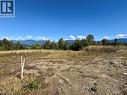 205 Edward Street Lot# 61, Balfour, BC 