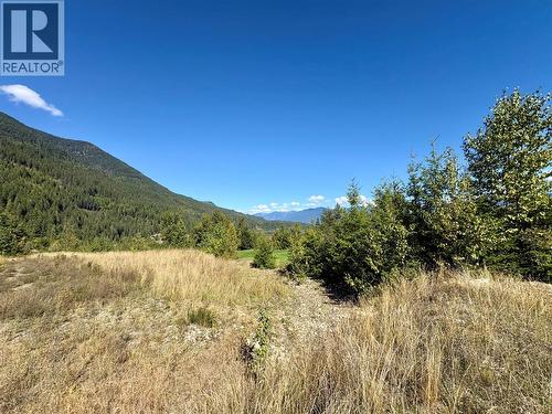 205 Edward Street Lot# 61, Balfour, BC 