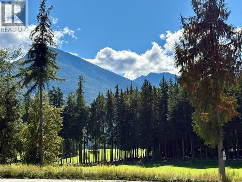 205 Edward Street Lot# 61, Balfour, BC 
