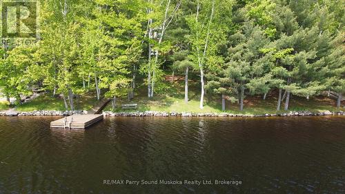 38 Shebeshekong Estates Road S, Carling, ON 