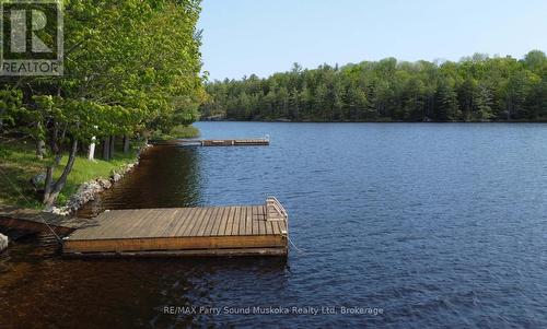 Protected docking, Peaceful Shebeshekong Lake - 38 Shebeshekong Estates Road S, Carling, ON 
