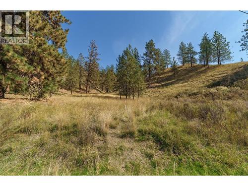 Prpsd Lt 2 47 Street, Okanagan Falls, BC 
