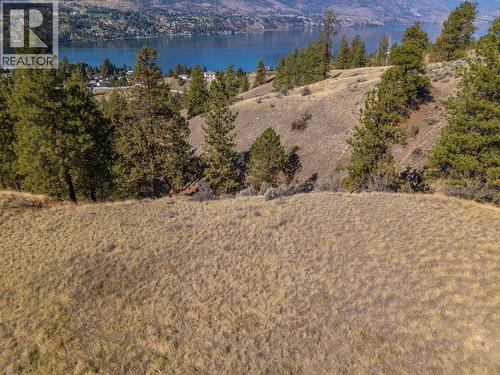 Prpsd Lt 2 47 Street, Okanagan Falls, BC 