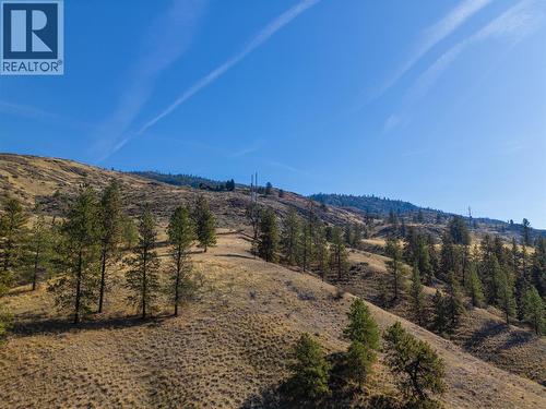 Prpsd Lt 2 47 Street, Okanagan Falls, BC 