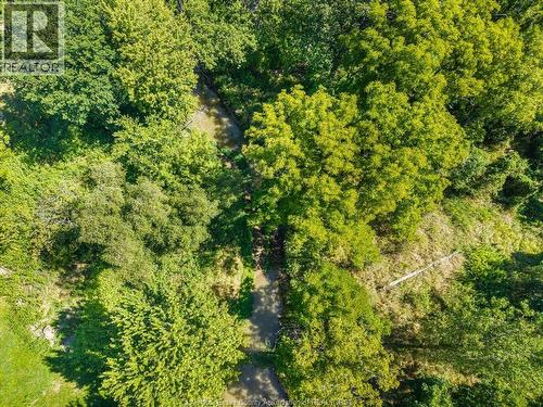 1585 Belle River Road, Lakeshore, ON 
