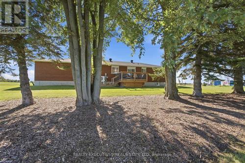 Mature trees - 11895 Cloverdale Road, North Dundas, ON 