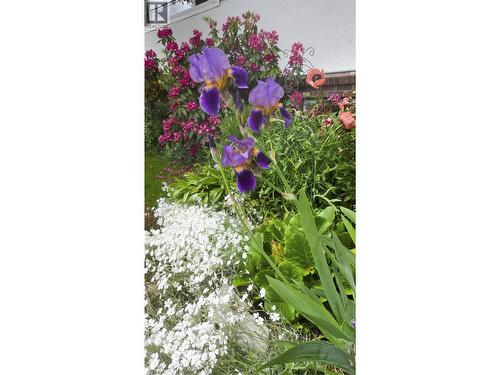 1516 Albatross Avenue, Kitimat, BC 