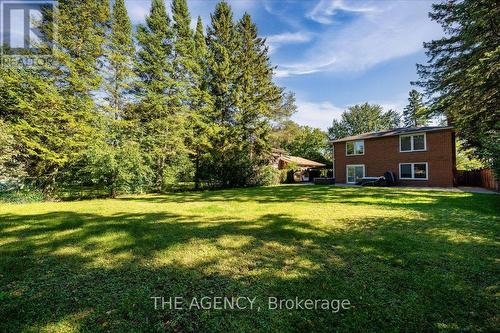 259 Rumble Avenue, Richmond Hill, ON 