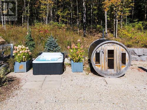 467063 12Th Concession B, Grey Highlands, ON 