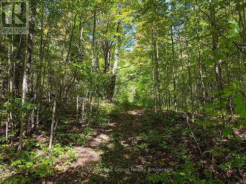 467063 12Th Concession B, Grey Highlands, ON 