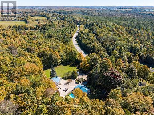467063 12Th Concession B, Grey Highlands, ON 