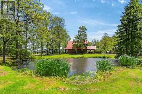 664 Concession 3 Road, Haldimand, ON 