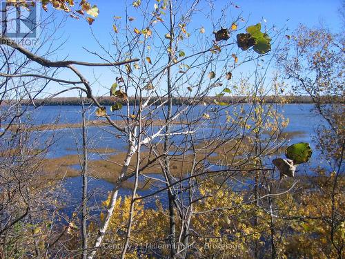 0 Lt 26 Con 2 Wbr Albemarle Concession, South Bruce Peninsula, ON 