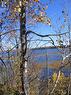 0 Lt 26 Con 2 Wbr Albemarle Concession, South Bruce Peninsula, ON 
