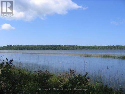 0 Lt 26 Con 2 Wbr Albemarle Concession, South Bruce Peninsula, ON 