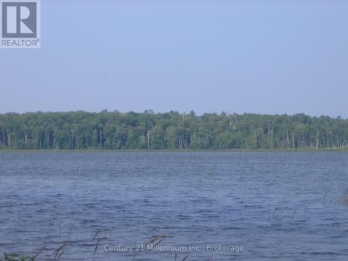 0 Lt 26 Con 2 Wbr Albemarle Concession, South Bruce Peninsula, ON 