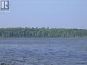 0 Lt 26 Con 2 Wbr Albemarle Concession, South Bruce Peninsula, ON 