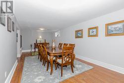 Lower level, Above Grade Windows - 