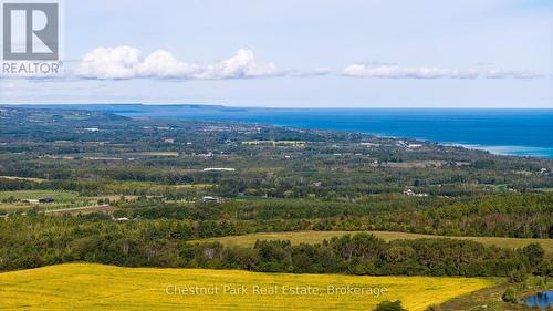 728534 21St Side Road, Blue Mountains, ON 