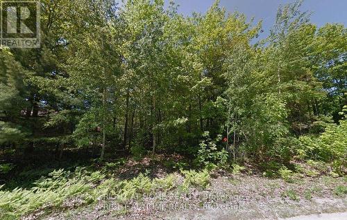 2 Birchwood Trail, Wasaga Beach, ON 